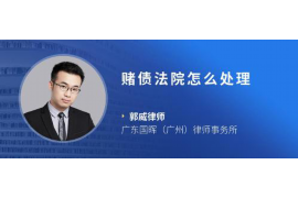 惠来为什么选择专业追讨公司来处理您的债务纠纷？